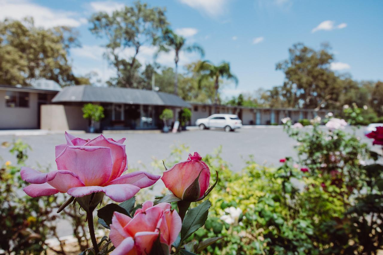 Artesian Spa Motel Moree Zewnętrze zdjęcie